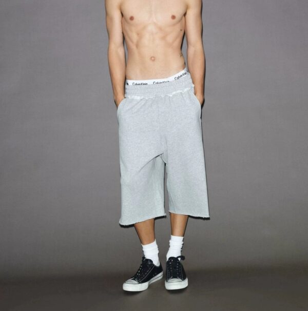 Jorts en lin gris destroy