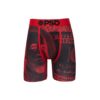 Boxer Briefs PSD « Dollar »